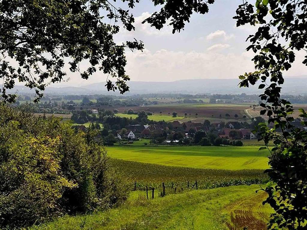 Hotel Weinschanke Rohdental Hessisch Oldendorf Buitenkant foto